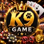 K9 Game