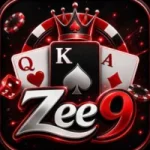 ZEE9 Game